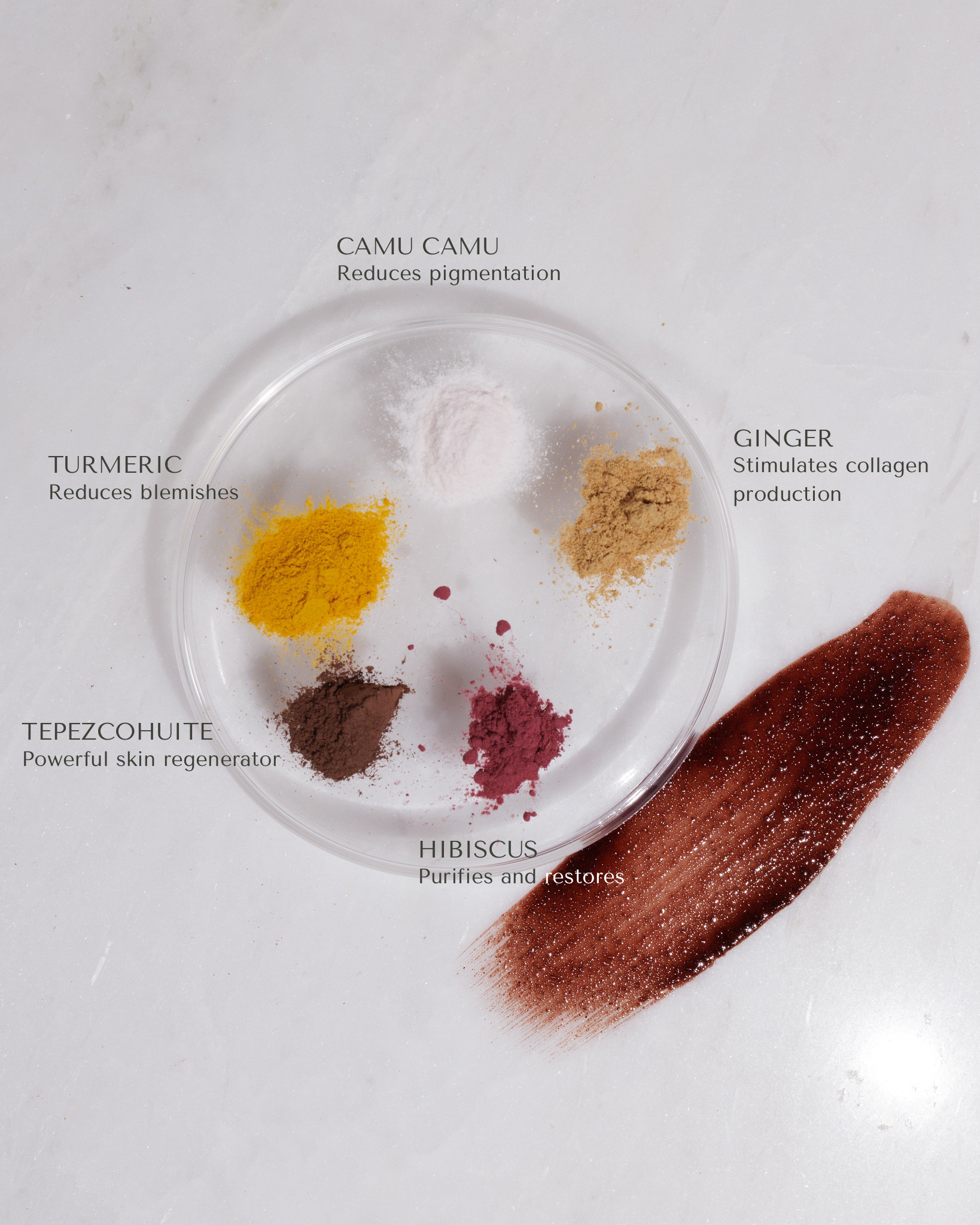 Evenly | Face Mask