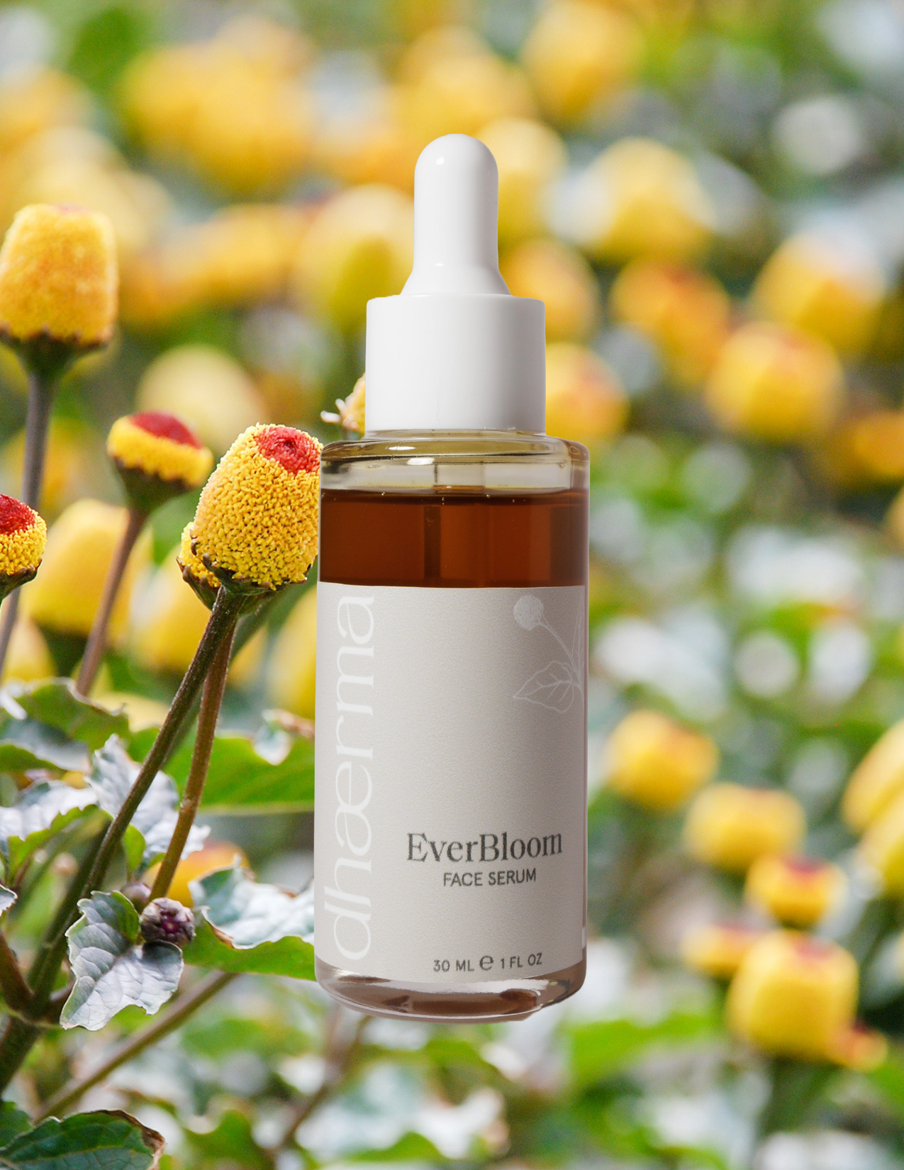 EverBloom | Face Oil