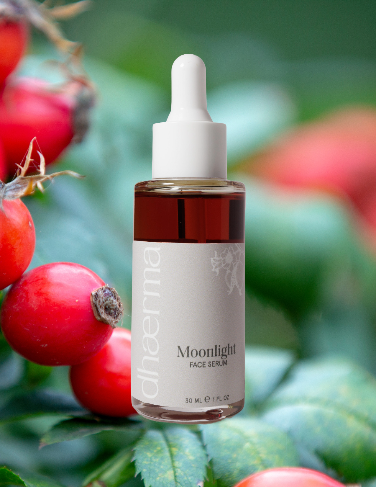 Moonlight | Face Oil