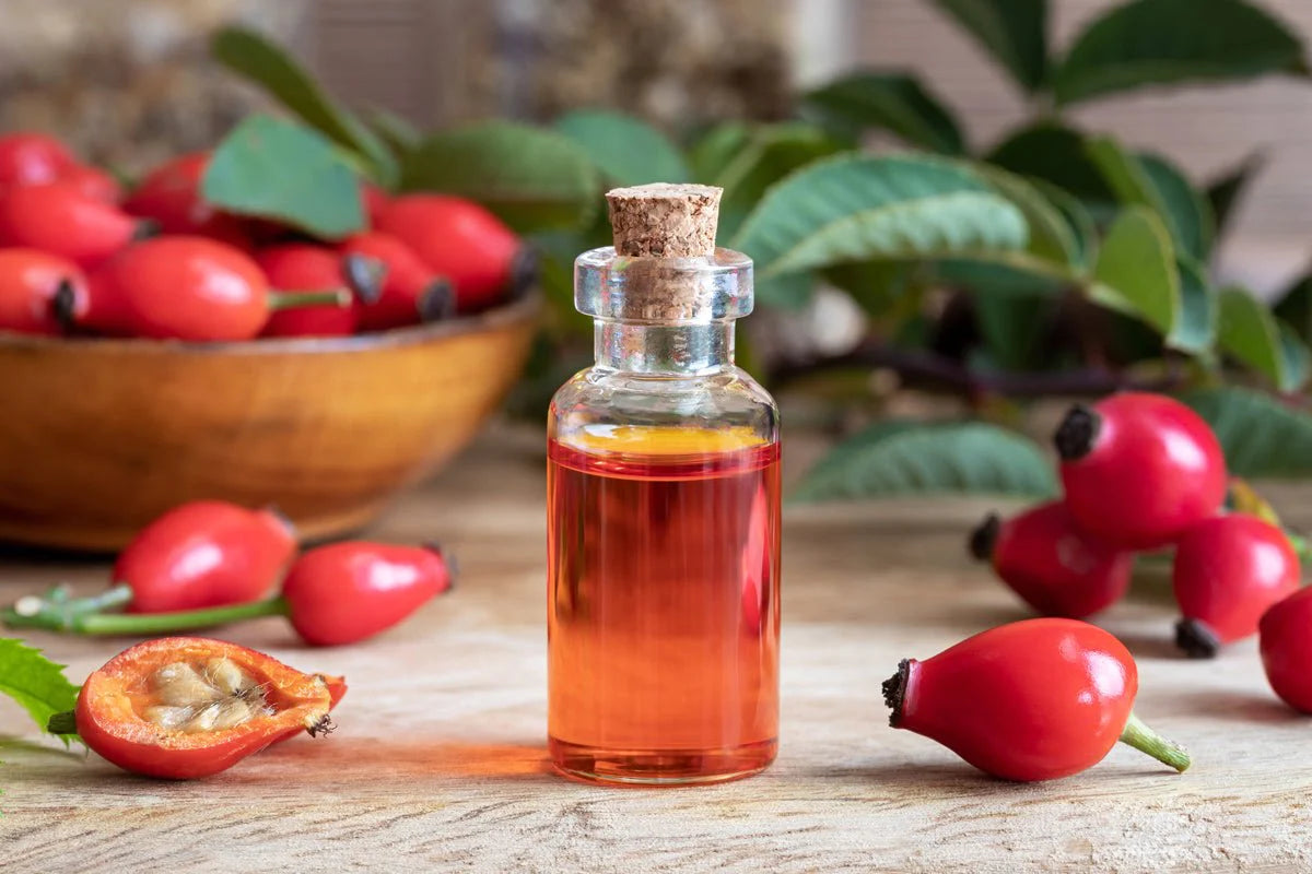 Unlocking Radiance: The Marvels of Rose Hip Oil for Face and Body